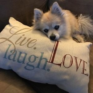 Meet your Posher, Rose